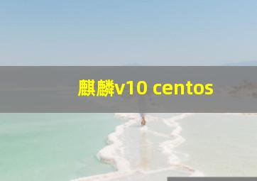 麒麟v10 centos